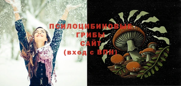 твердый Богородск