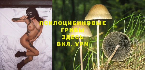 герыч Богородицк