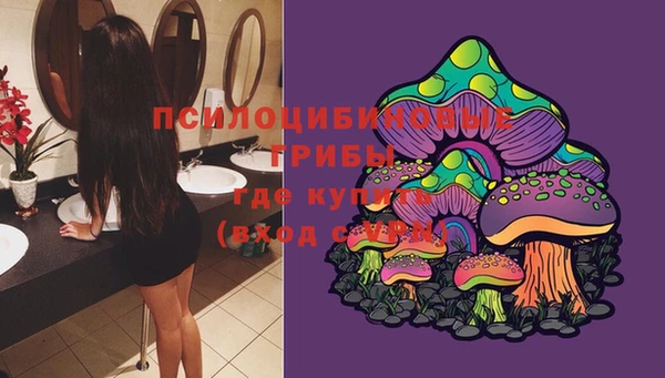 не бодяженный Богданович
