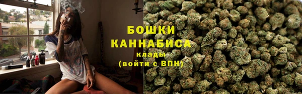 твердый Богородск