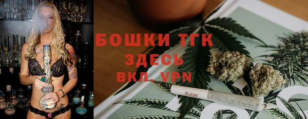твердый Богородск