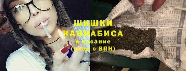 твердый Богородск